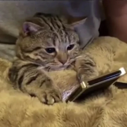 😶 Стикер «Cuteness Overload» для Telegram