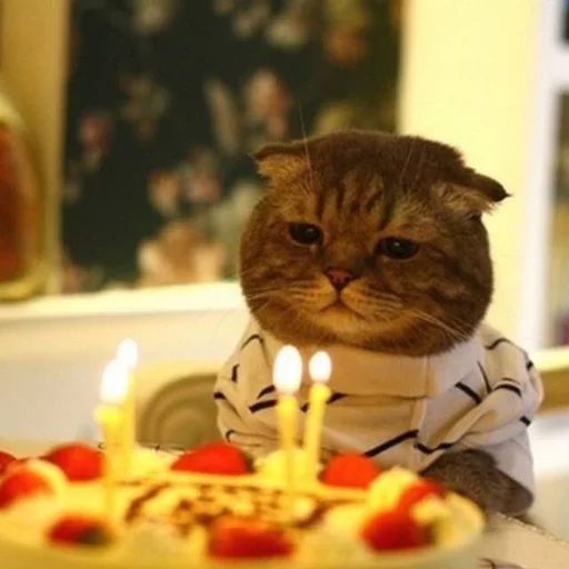 ☹️ Стикер «Cuteness Overload» для Telegram
