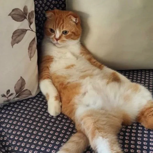 😑 Стикер «Cuteness Overload» для Telegram