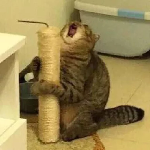 😫 Стикер «Cuteness Overload» для Telegram