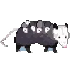 Стикер 18 Опоссумы