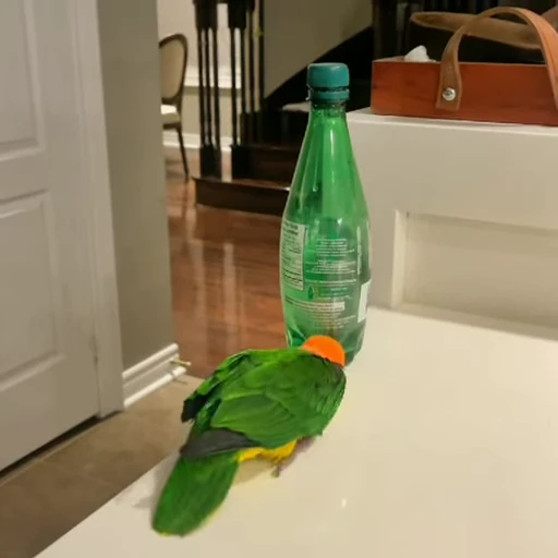 😯 Стикер «parrot» для Telegram