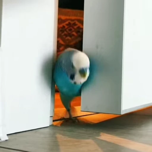 😮‍💨 Стикер «parrot» для Telegram