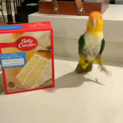 🎉 Стикер «parrot» для Telegram