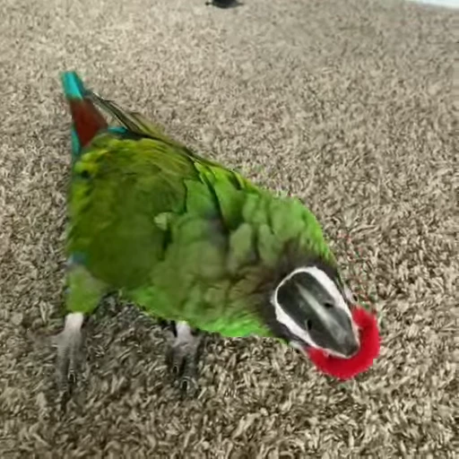 😵 Стикер «parrot» для Telegram