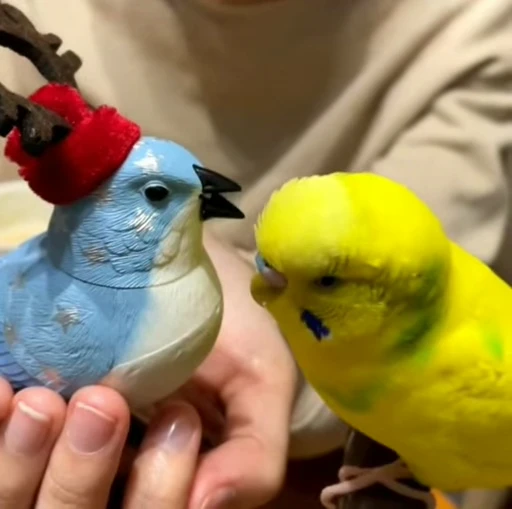 😡 Стикер «parrot» для Telegram