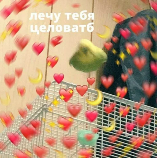 ❤️ Стикер «Cute Parrots Meme» для Telegram
