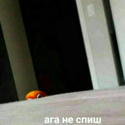 👀 Стикер «Cute Parrots Meme» для Telegram