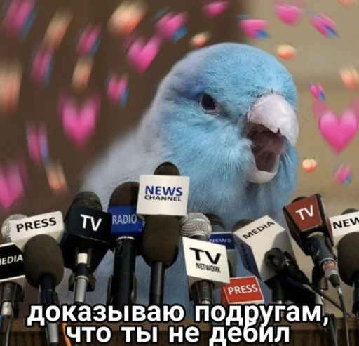 🎤 Стикер «Cute Parrots Meme» для Telegram