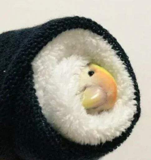 🍙 Стикер «Cute Parrots Meme» для Telegram