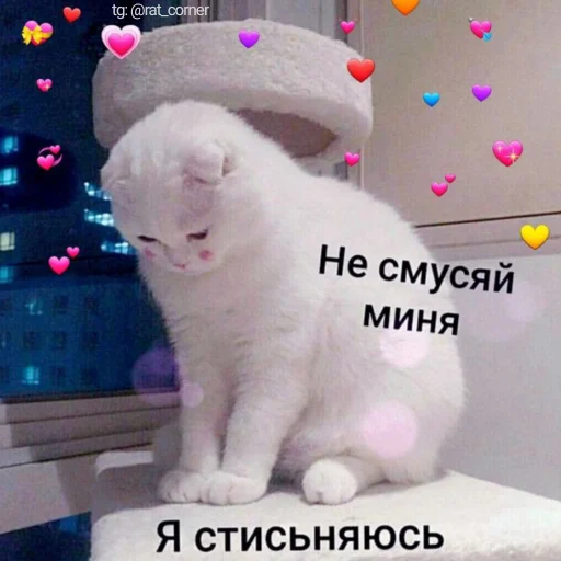 💞 Стикер «?`cute pics!!» для Telegram