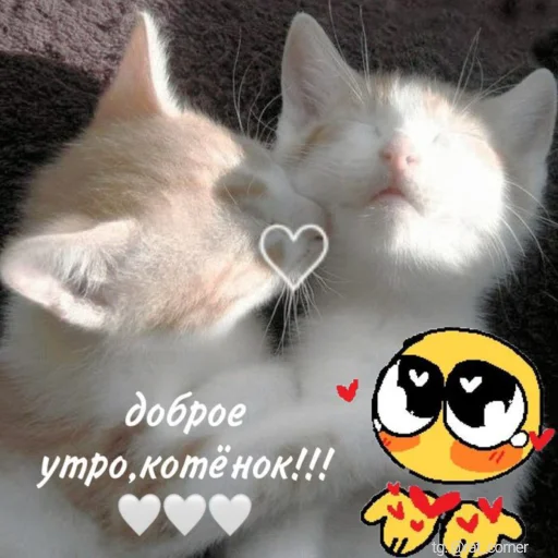 💞 Стикер «?`cute pics!!» для Telegram