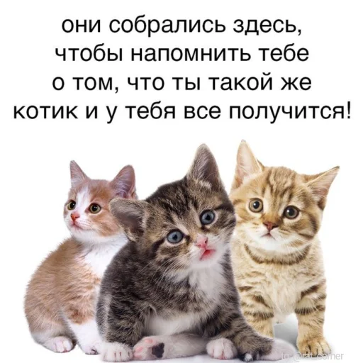 💞 Стикер «?`cute pics!!» для Telegram