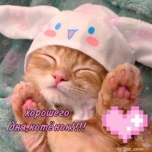 💞 Стикер «?`cute pics!!» для Telegram