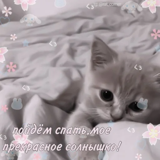 💞 Стикер «?`cute pics!!» для Telegram