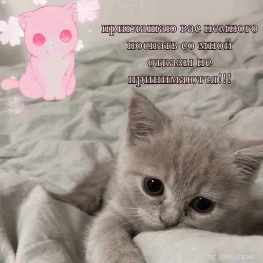 💞 Стикер «?`cute pics!!» для Telegram