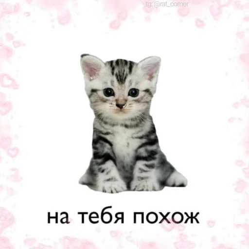 💞 Стикер «?`cute pics!!» для Telegram