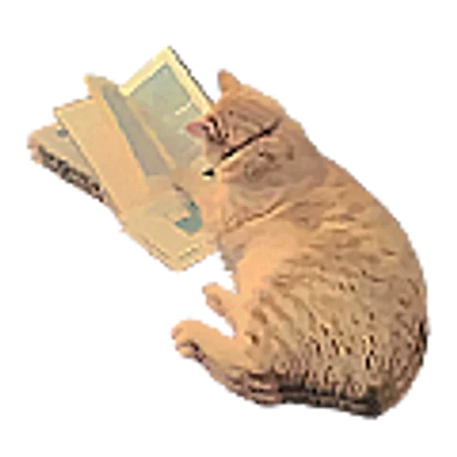 🐈 Стикер «cute pink» для Telegram