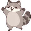 Стикерпак raccoon для Telegram