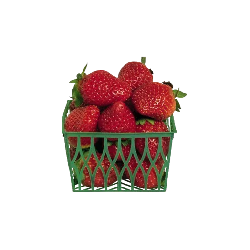 🍓 Стикер «cute vibe» для Telegram