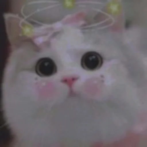💗 Стикер «cutie cat» для Telegram