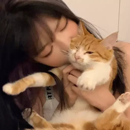 💗 Стикер «как же я лбблю кореяночек» для Telegram