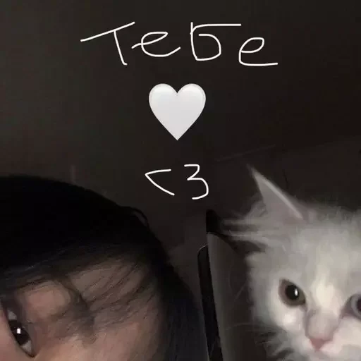🤍 Стикер «как же я лбблю кореяночек» для Telegram