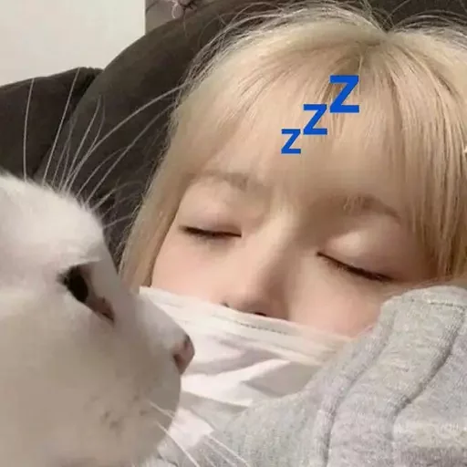 💤 Стикер «как же я лбблю кореяночек» для Telegram