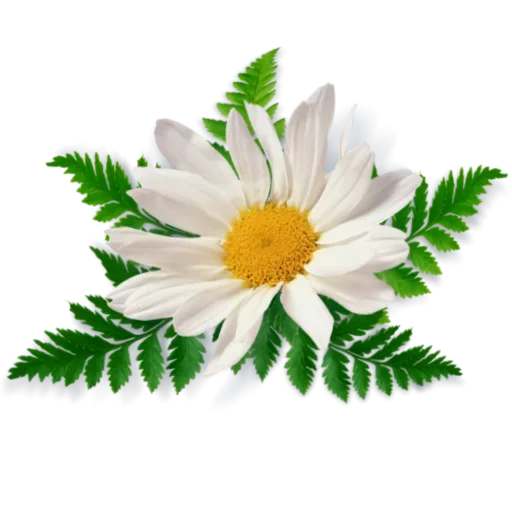 😚 Стикер «Цветы» для Telegram