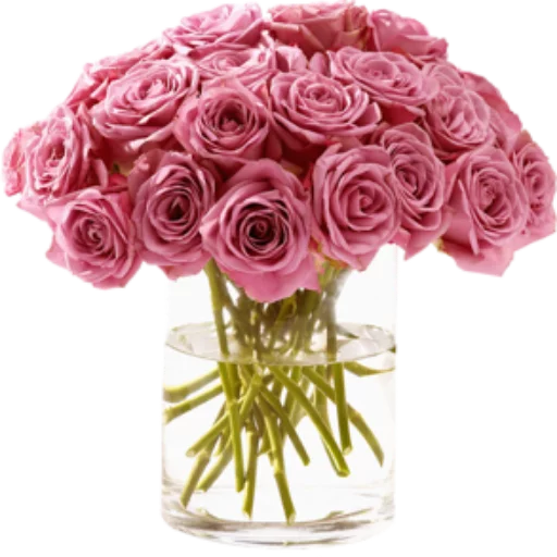 🌺 Стикер «Цветы 2» для Telegram