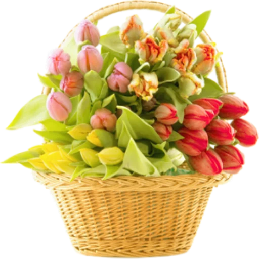 🌺 Стикер «Цветы 2» для Telegram