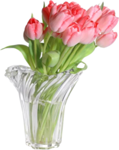 🌺 Стикер «Цветы 2» для Telegram
