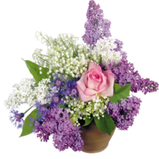 🌺 Стикер «Цветы 2» для Telegram