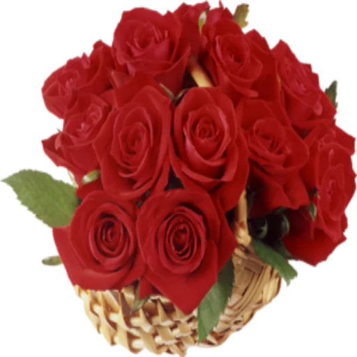 🌺 Стикер «Цветы 2» для Telegram