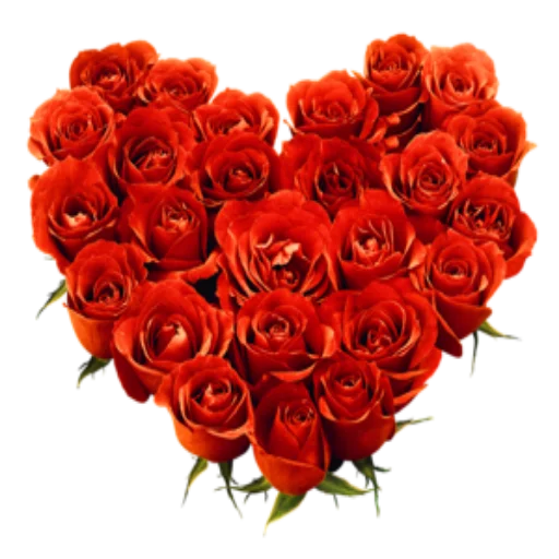 🌺 Стикер «Цветы 2» для Telegram