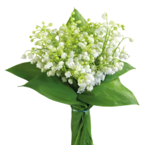 🌺 Стикер «Цветы 2» для Telegram