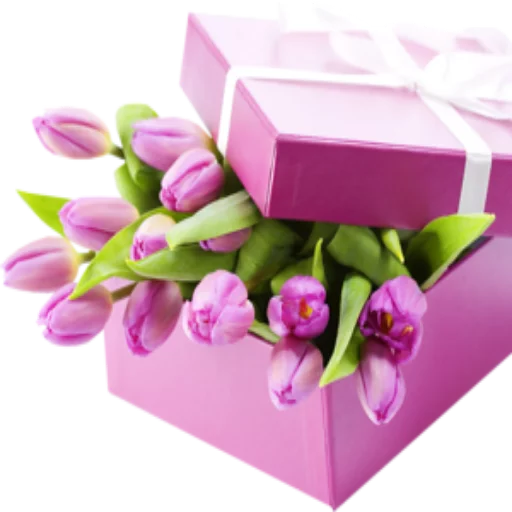 🌺 Стикер «Цветы 2» для Telegram
