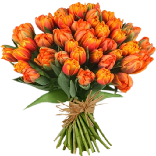 🌺 Стикер «Цветы 2» для Telegram