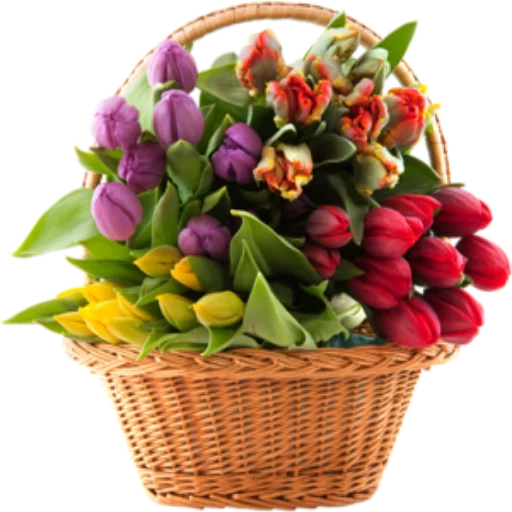 🌺 Стикер «Цветы 2» для Telegram