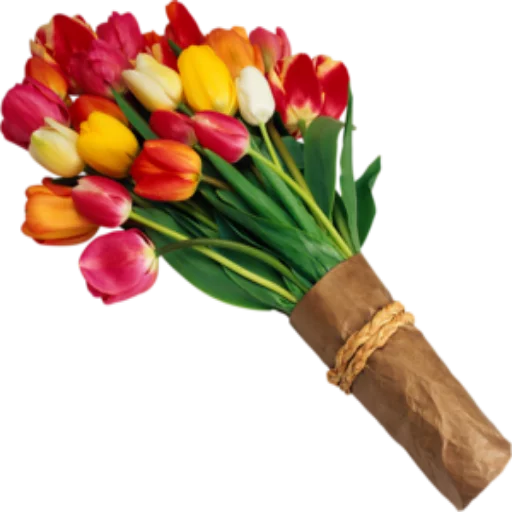 🌺 Стикер «Цветы 2» для Telegram