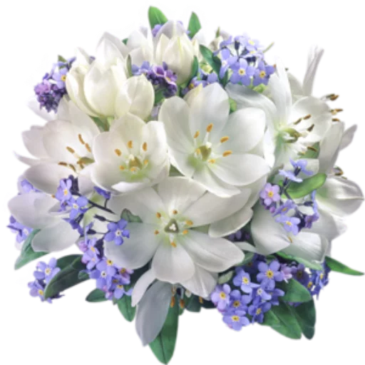 🌺 Стикер «Цветы 2» для Telegram