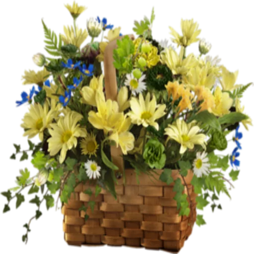 🌺 Стикер «Цветы 2» для Telegram