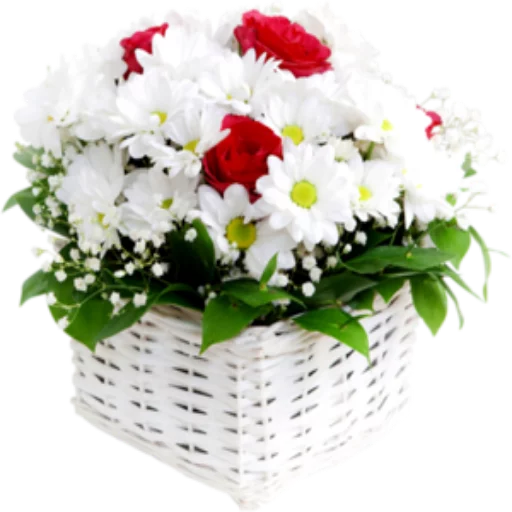 🌺 Стикер «Цветы 2» для Telegram