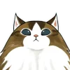 😶 Эмодзи «Нян котики» для Telegram