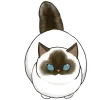 🤨 Эмодзи «Нян котики» для Telegram