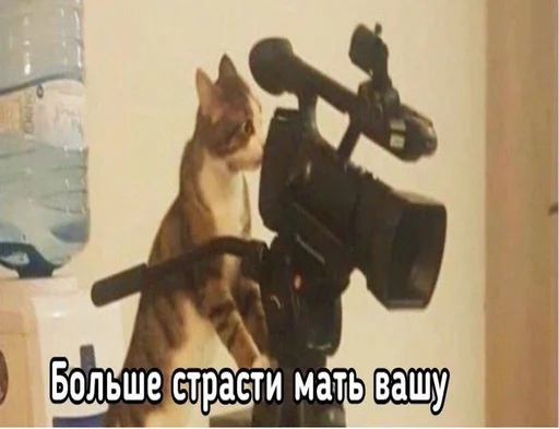 😈 Стикер «Шифратор» для Telegram