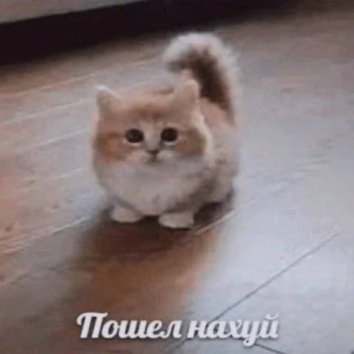 👾 Стикер «Шифратор» для Telegram