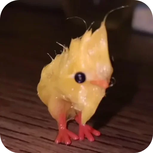 🦖 Стикер «ЦЫПЫ» для Telegram