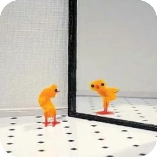 🐦 Стикер «ЦЫПЫ» для Telegram