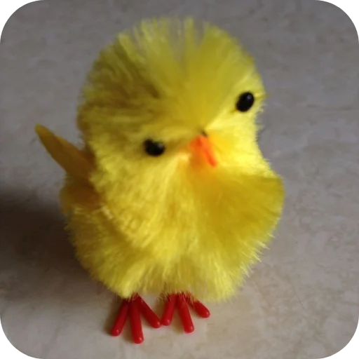 🥴 Стикер «ЦЫПЫ» для Telegram